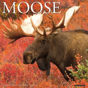 Moose 2024 Wall Calendar