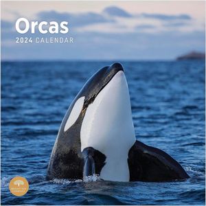 Orcas 2024 Wall Calendar
