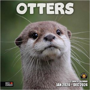 Otters 2024 Calendar