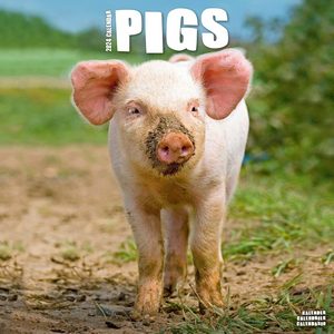 Pigs 2024 Calendars