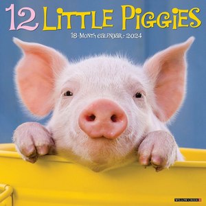 12 Little Piggies 2024 Calendar