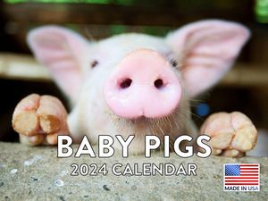 Baby Pigs 2024 Wall Calendar