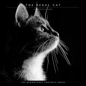 The Regal Cat 2024 Calendar