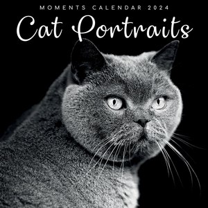 Cat Portraits 2024 Calendar