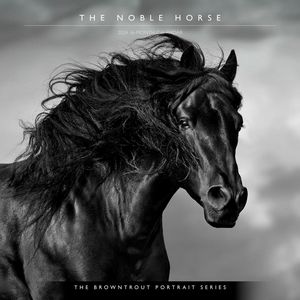 The Noble Horse Portrait Series 2024 Wall Calenda