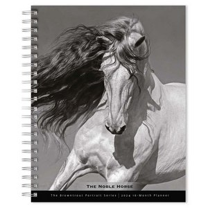 Portrait Series Noble Horse 2024 Wall Calendar