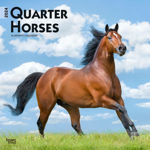 Quarter Horses 2024 Calendar