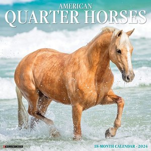 American Quarter Horses 2024 Calendar