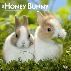 Rabbits & Bunnies 2024 Calendars