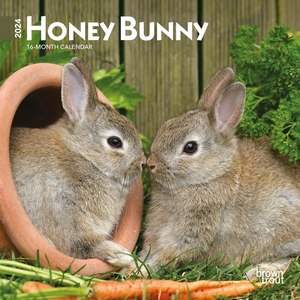 Honey Bunny 2024 Wall Calendar