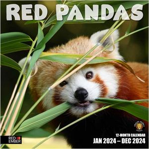 Red Pandas 2024 Calendar