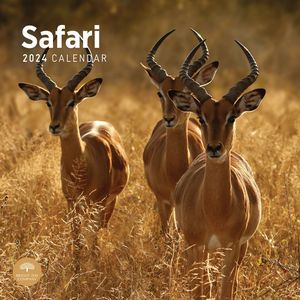 Safari 2024 Calendar