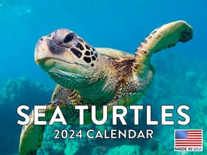 Sea Turtles 2024 Calendar