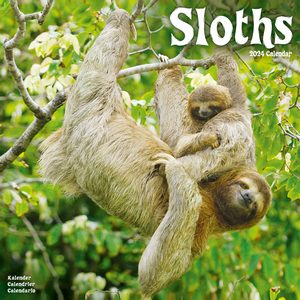Sloths 2024 Calendar