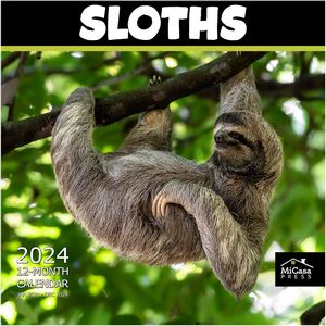 Sloths 2024 Calendar