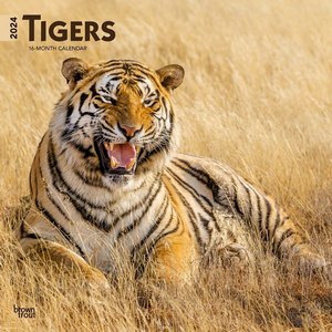 Tigers 2024 Calendar