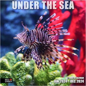 Under The Sea 2024 Calendar