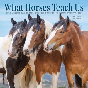 What Horses Teach Us 2024 Mini Wall Calendar