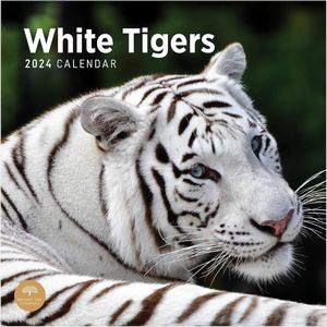 White Tigers 2024 Calendar