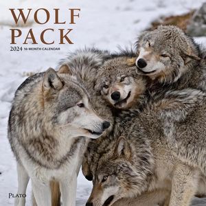 Wolf Pack 2024 Calendar