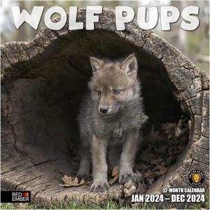 Wolf Pups 2024 Wall Calendar