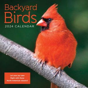 Backyard Birds 2024 Calendar