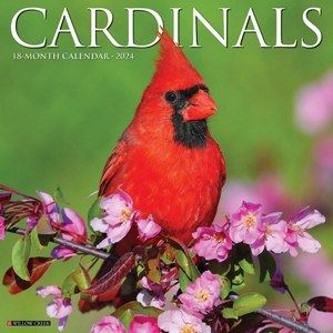 Cardinals 2024 Calendar