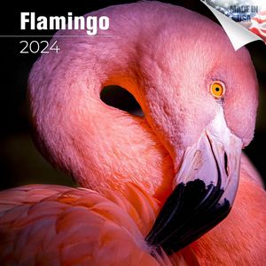 Flamingo 2024 Calendar