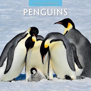 Penguins 2024 Calendar