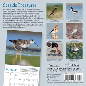 Shorebirds 2024 Calendar