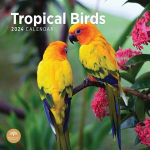 Tropical Birds 2024 Calendar