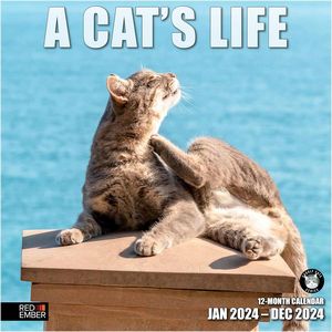 A Cat's Life 2024 Calendar