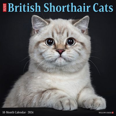 British Shorthair Cats 2024 Calendar