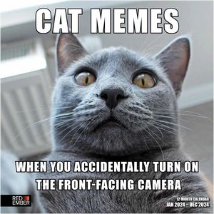 Cat Memes 2024 Calendar