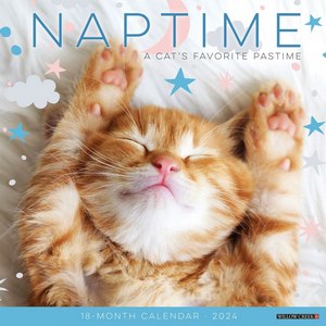 2024 Cat Naps | Dog-Calendars.com