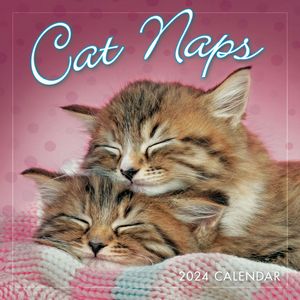 Cat Naps 2024 Calendar