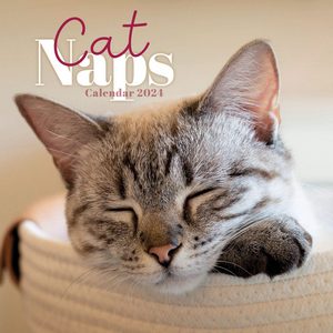 Cat Naps 2024 Calendar