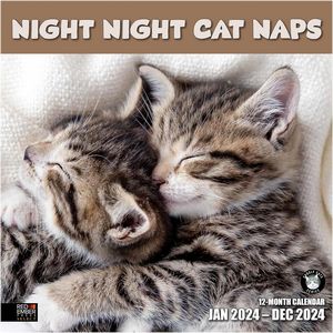 Night Night Cat Naps 2024 Calendar