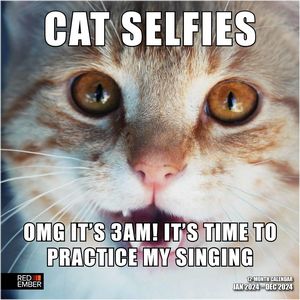 Cat Selfies 2024 Calndar