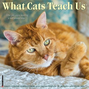 What Cats Teach Us 2024 Calendar