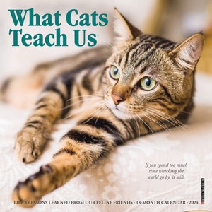 What Cats Teach Us 2024 Mini Calendar