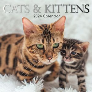 Cats & Kittens 2024 Calendar