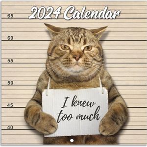 Funny Cat Memes 2024 Calendar