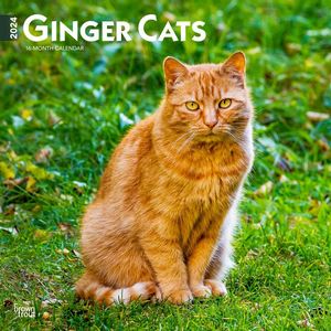 Ginger Cats 2024 Calendar