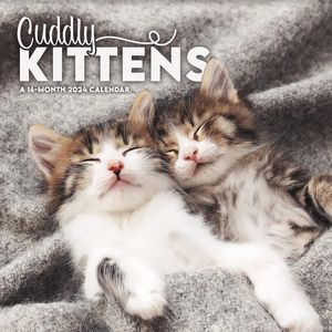 Cuddly Kittens 2024 Calendar