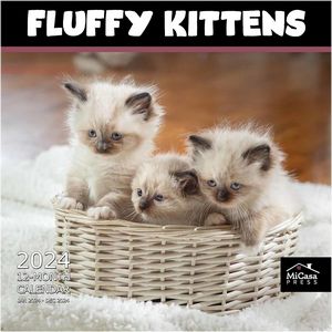 Fluffy Kittens 2024 Calendar
