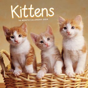 Kittens 2024 Mini Wall Calendar