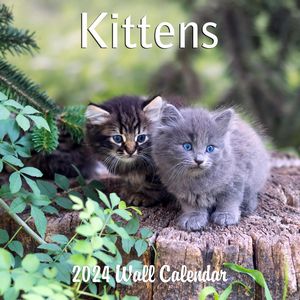 Kittens 2024 Calendar