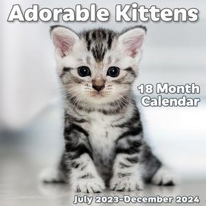 Adorable Kittens 2024 Calendar
