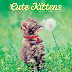 Cute Kittens 2024 Calendar